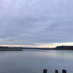 Meet your Posher, Bella